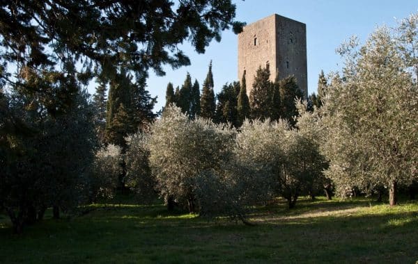 La Torre dei Belforti